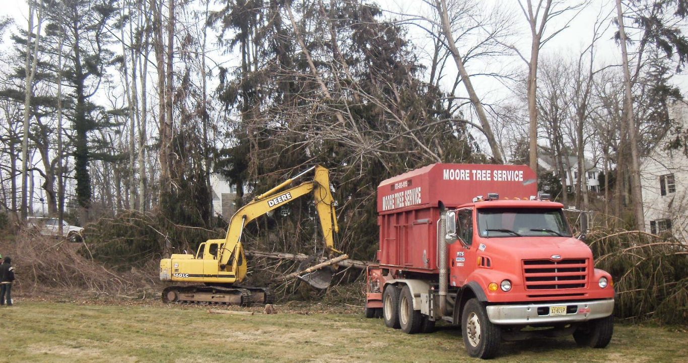 Moore's Tree Service - Emergency Tree Removal Short Hills & Livingston, NJ